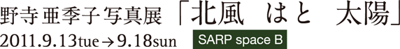 野寺亜季子